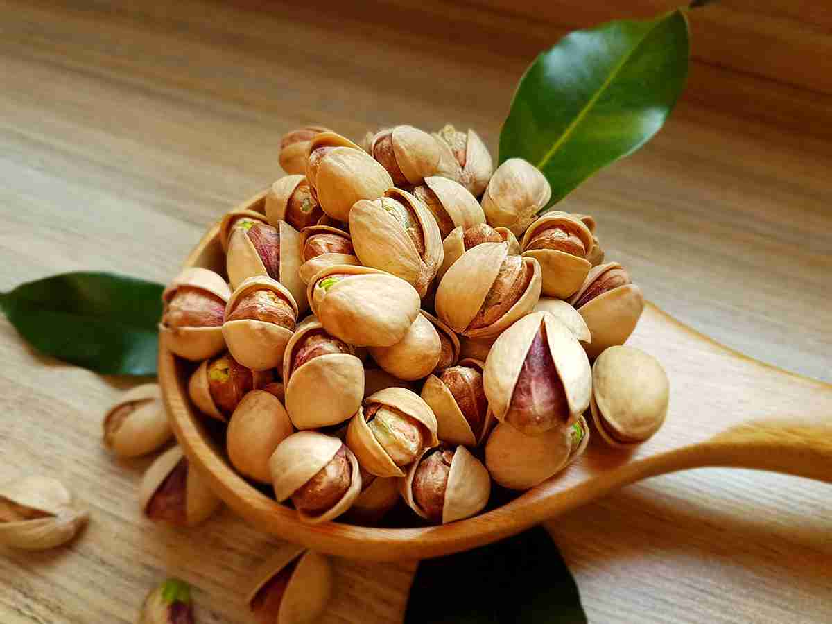 قیمت پسته تازه خام با کیفیت ارزان + خرید عمده